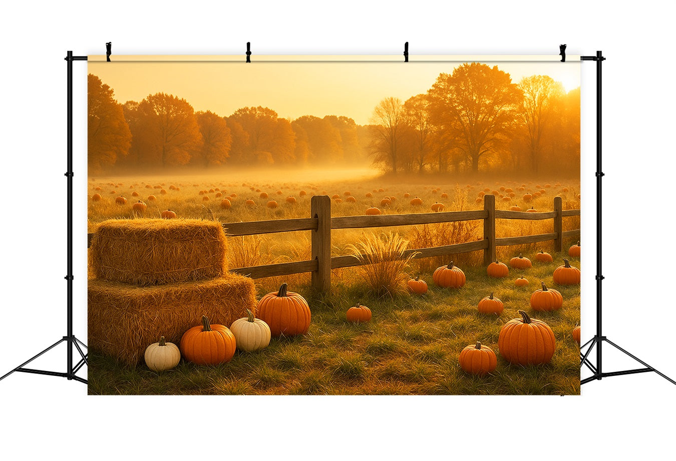 Pumpkin Patch Backdrop Golden Meadow Pumpkin Field Thanksgiving Backdrop LXX510-48