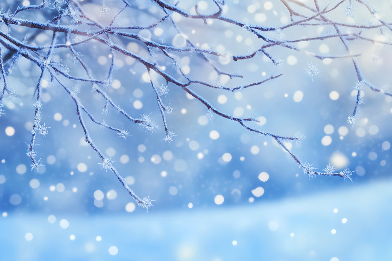 Winter Snow Backdrop Frosted Branch Snowflakes Glow Winter Photo Backdrops LXX510-80