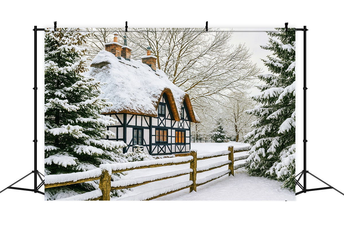 Winter Wonderland Backdrop Snow Cottage Pine Forest Winter Backdrop LXX510-82