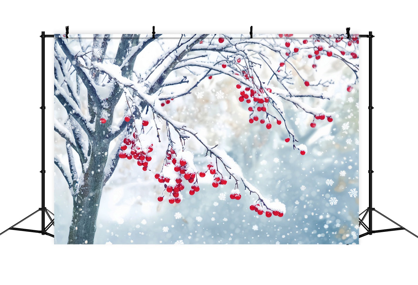 Winter Snow Backdrop Red Berry Snow Branches Winter Photo Backdrops LXX510-83