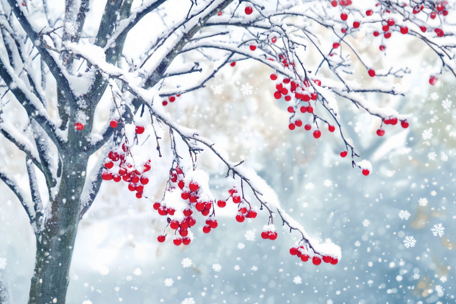 Winter Snow Backdrop Red Berry Snow Branches Winter Photo Backdrops LXX510-83