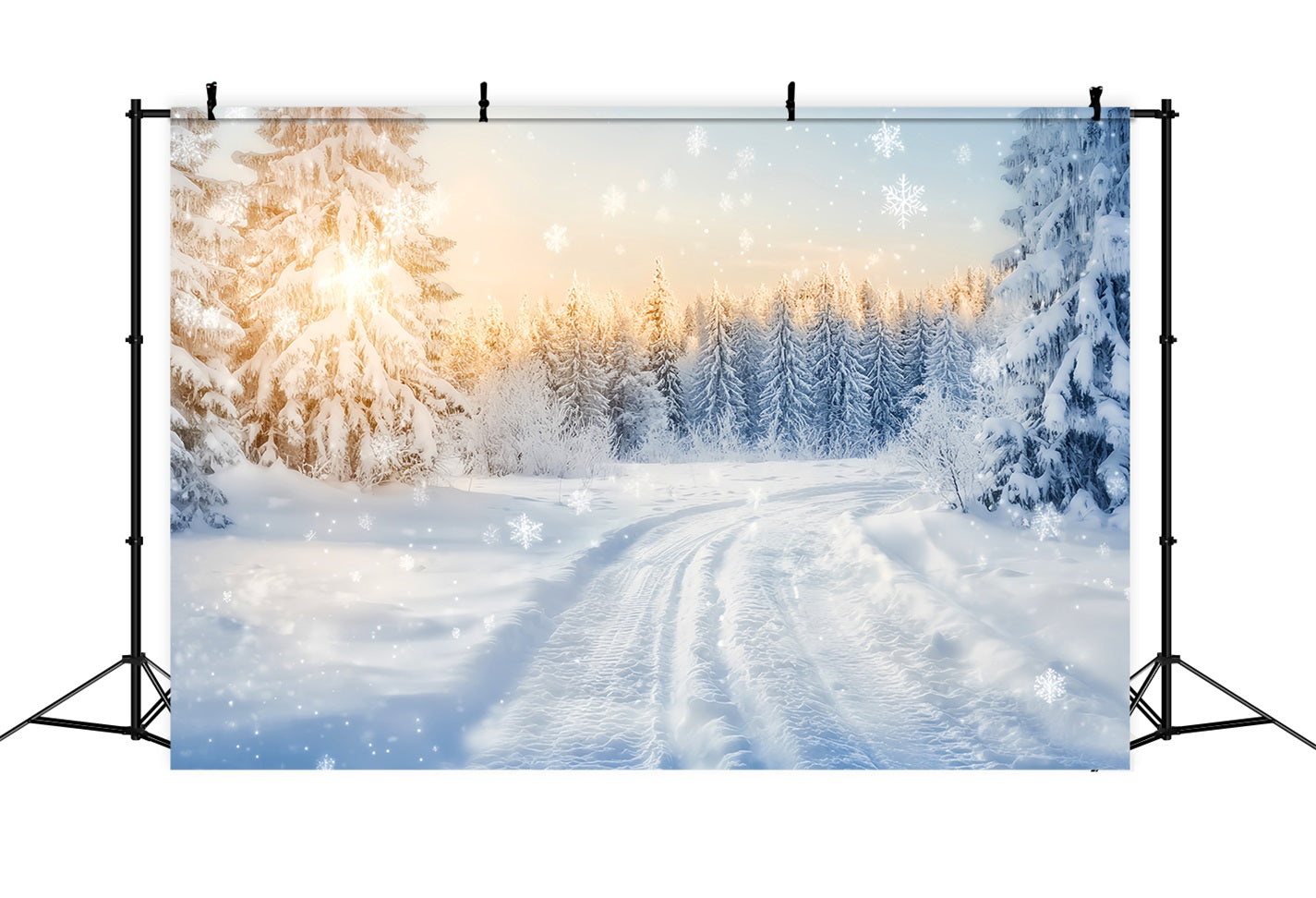 Winter Wonderland Backdrop Sparkling Forest Sunrise Trail Winter Backdrops LXX510-90