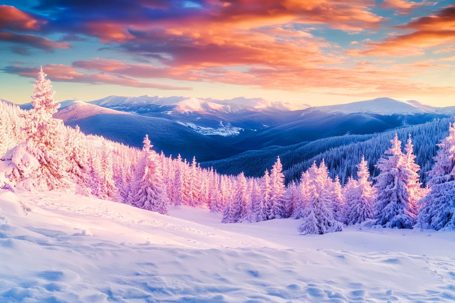 Winter Mountain Backdrop Golden Peaks Frost Valley Winter Backdrops LXX510-93