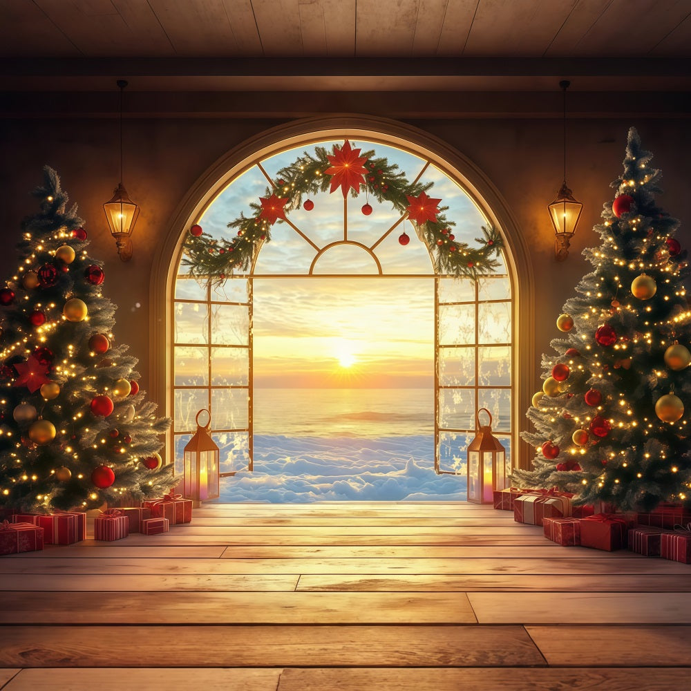 New Years Backdrops Festive Christmas Sunrise View Happy New Year Backdrop LXX512-16
