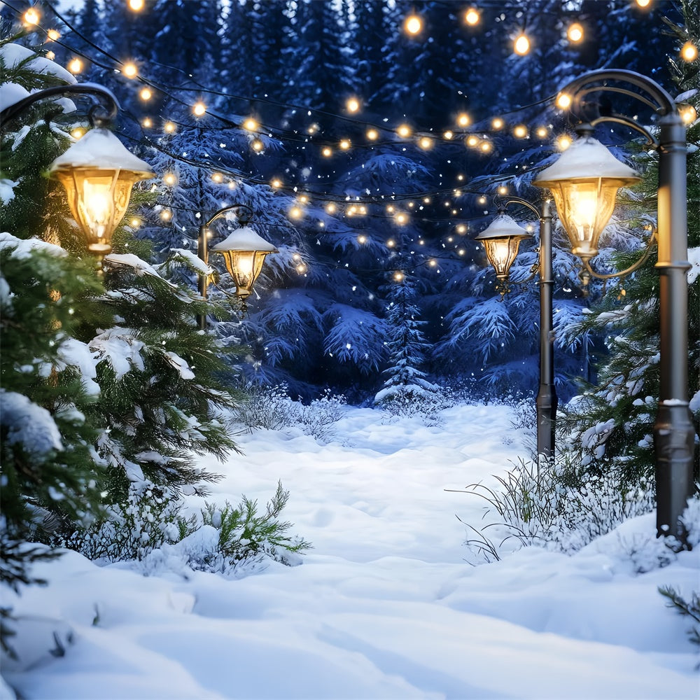 Snow Forest Backdrop Cozy Lighted Pines Backdrop LXX57-123