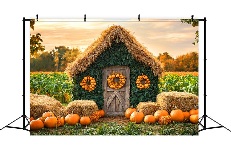 Autumn Photo Backdrop Pumpkin Patch Cottage Backdrop LXX57-154