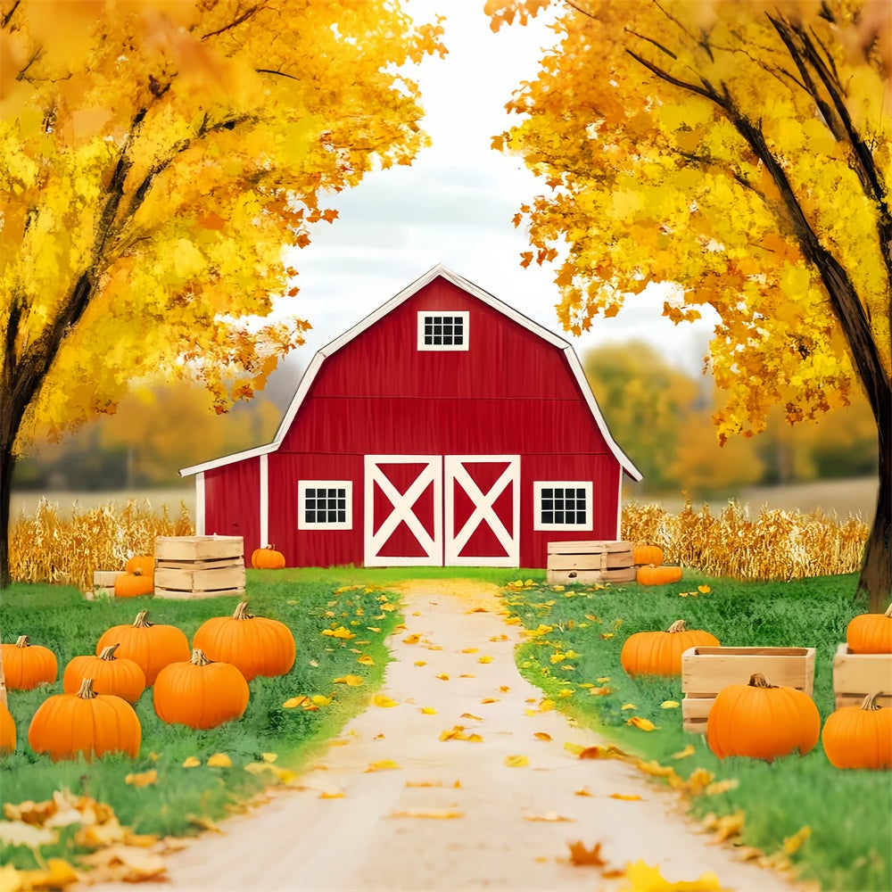 Barn Backdrop Barnyard Trail Fall Forest Backdrops LXX57-162