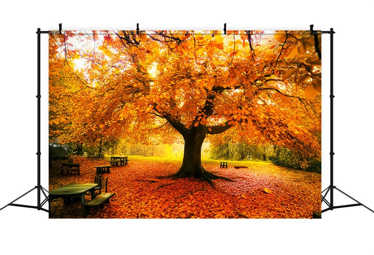 Autumn Leaves Backdrop Fall Canopy Backdrop Backdrop LXX57-177