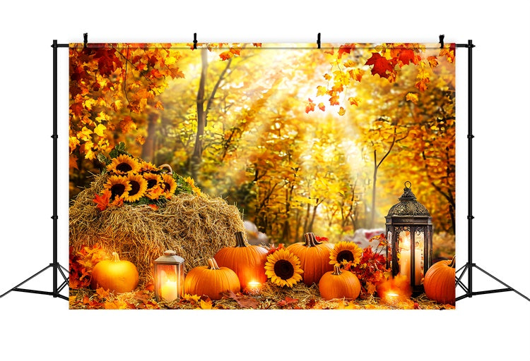 Fall Forest Backdrop Pumpkin Glow Forest Backdrop LXX57-178