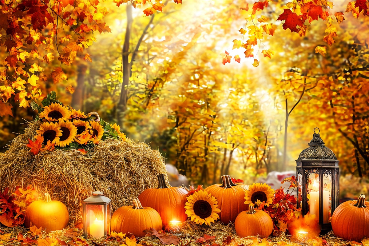 Fall Forest Backdrop Pumpkin Glow Forest Backdrop LXX57-178
