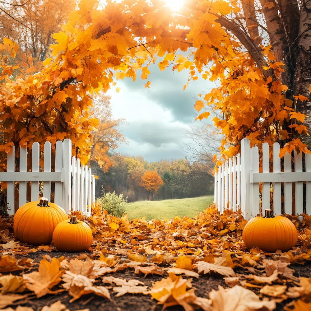 Fall Leaves Backdrop Pumpkin Grove Fence Backdrop LXX57-179
