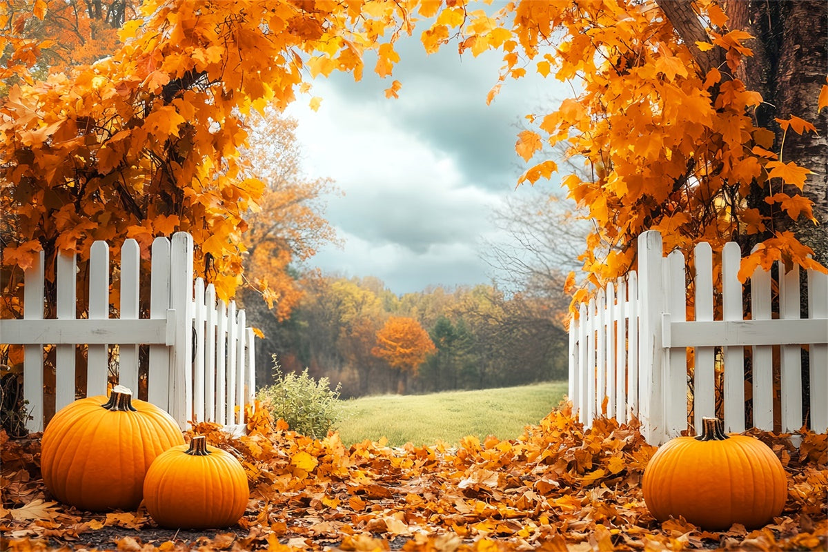 Fall Leaves Backdrop Pumpkin Grove Fence Backdrop LXX57-179