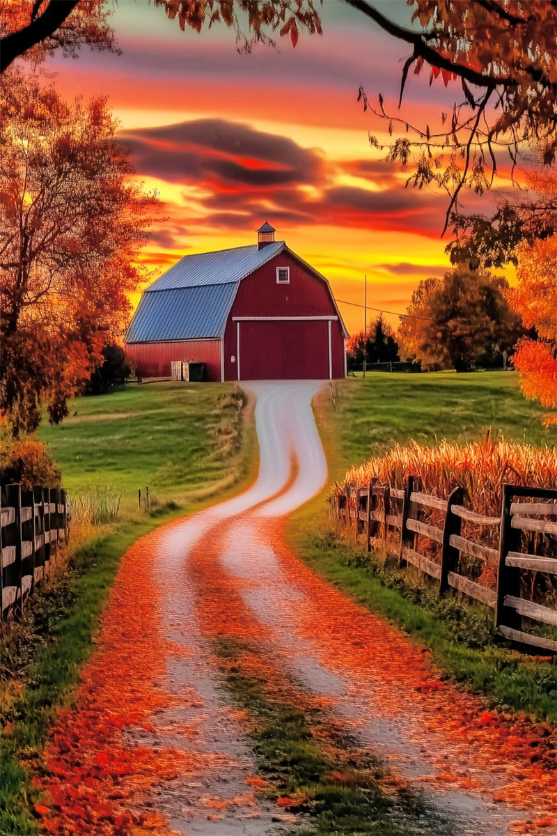Sunset Photo Backdrop Rustic Barn Glow Fall Backdrop LXX57-184