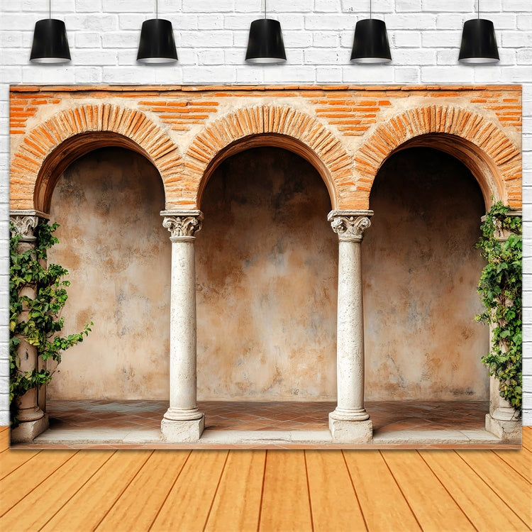 Vintage Photography Backdrop Rustic Brick Cloister Backdrop LXX57-191