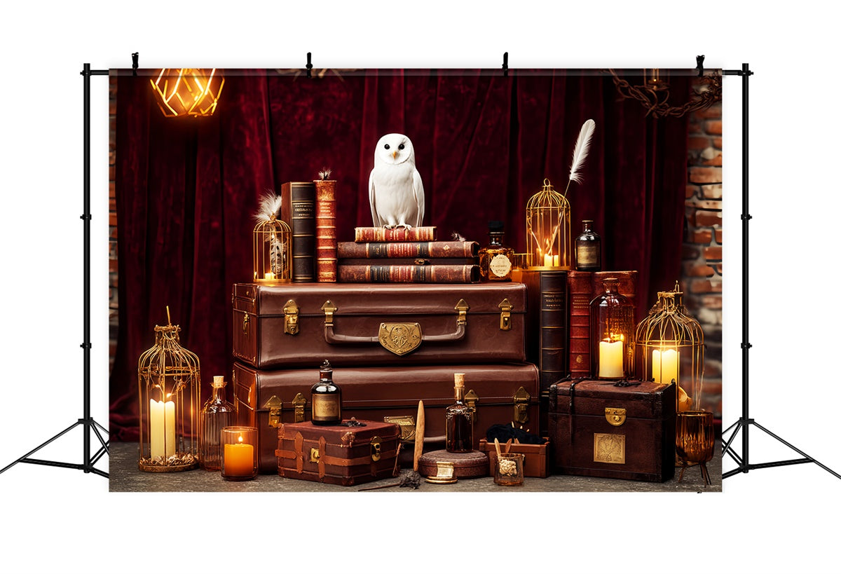 Retro Backdrop Mystical Owl Books Vintage Photo Backdrop LXX57-192