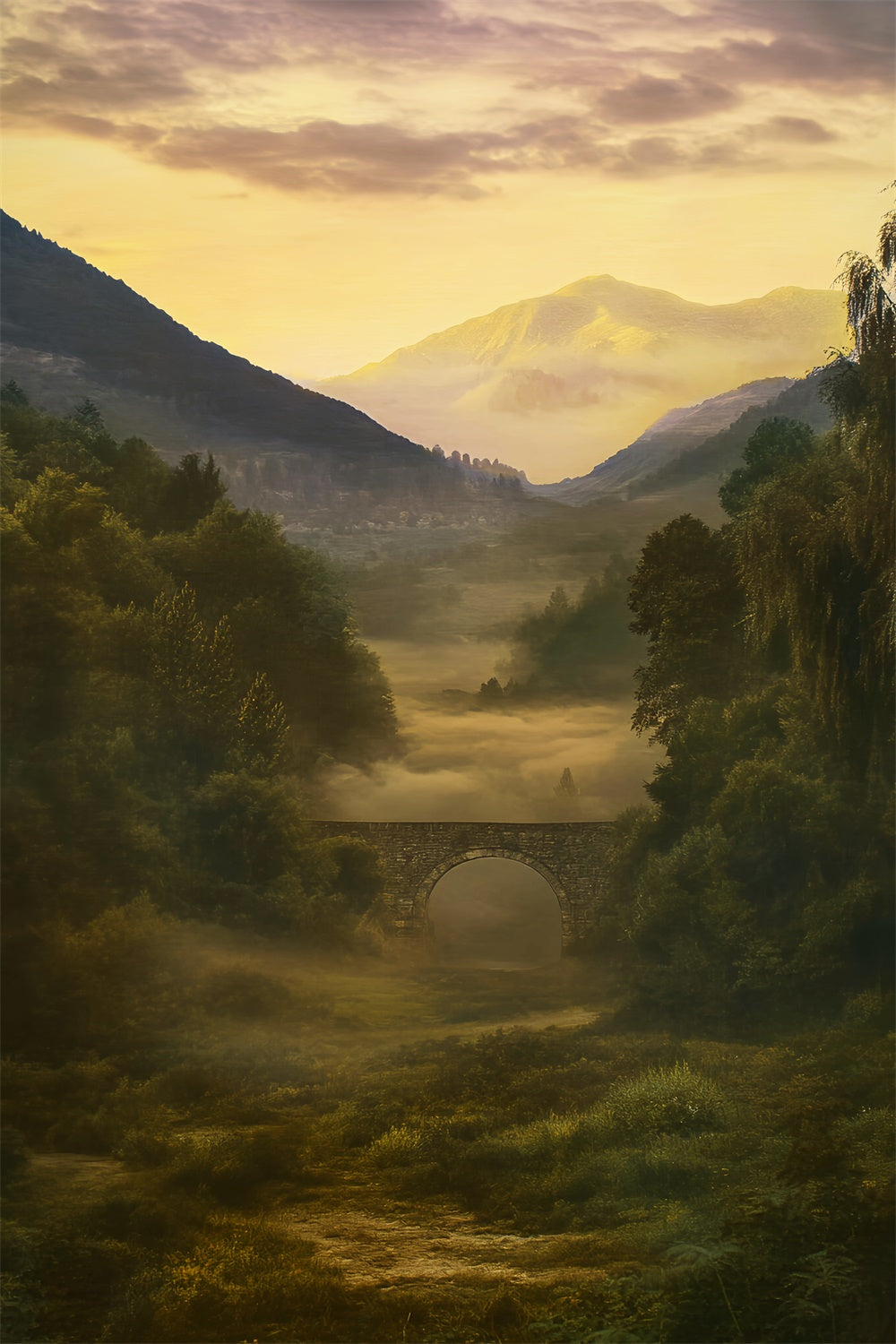 Vintage Backdrops Morning Haze Scenic Trail Backdrop LXX57-200