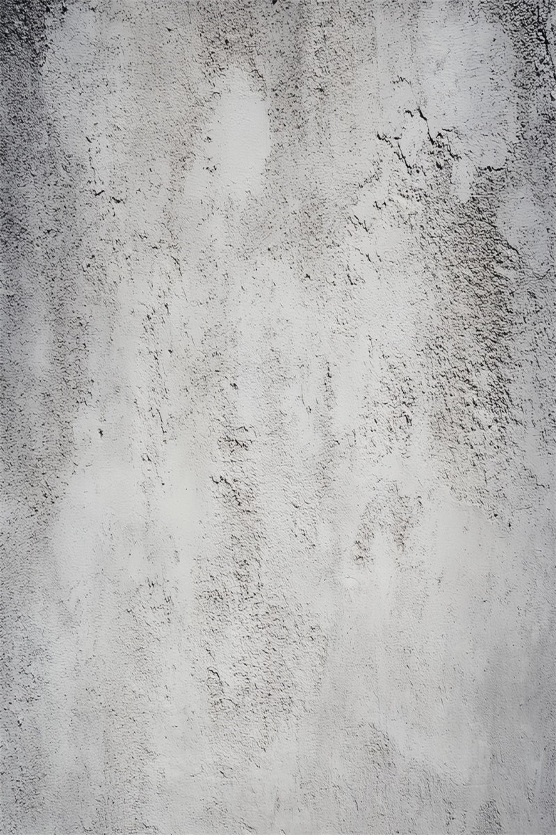 Concrete Backdrop Rough Concrete Wall Portrait Backdrop LXX57-255
