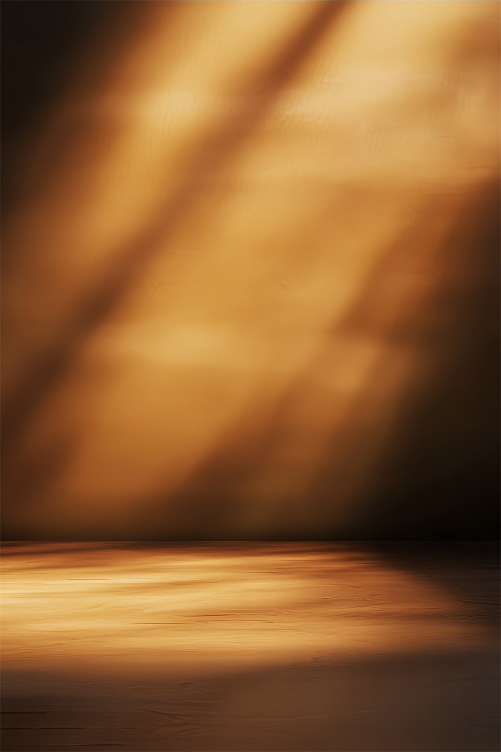 Portrait Photography Backdrop Moody Sunset Ray Backdrop LXX57-276
