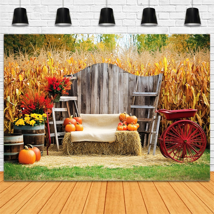 Thanksgiving Backdrop Ideas Cozy Corn Patch Porch Backdrop LXX57-321
