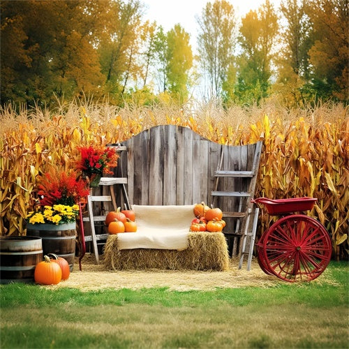 Thanksgiving Backdrop Ideas Cozy Corn Patch Porch Backdrop LXX57-321