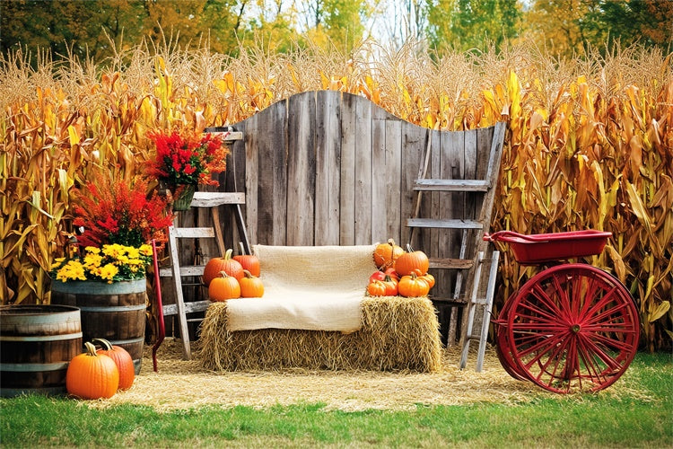 Thanksgiving Backdrop Ideas Cozy Corn Patch Porch Backdrop LXX57-321