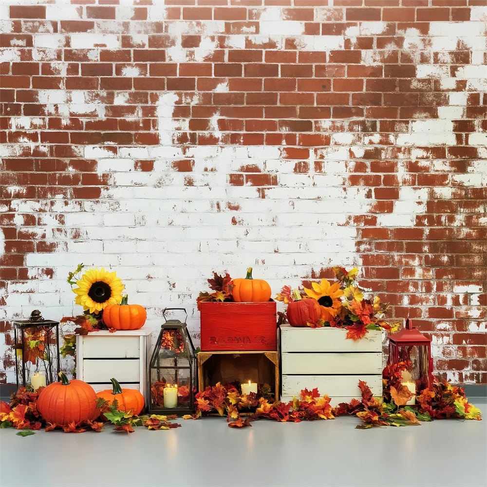 Fall Thanksgiving Backdrop Sunflower Harvest Brick Backdrop LXX57-322