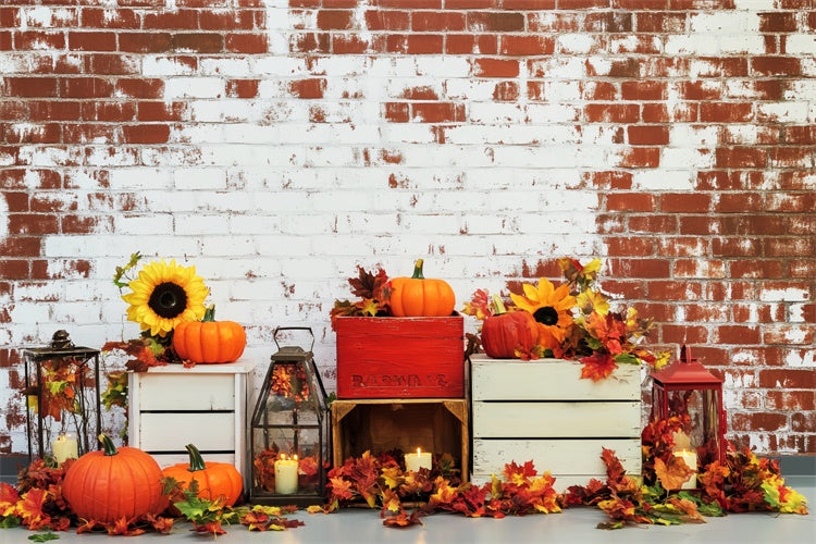 Fall Thanksgiving Backdrop Sunflower Harvest Brick Backdrop LXX57-322