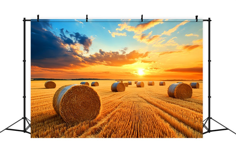 Fall Thanksgiving Backdrop Golden Hayfield Sunset Backdrop LXX57-338
