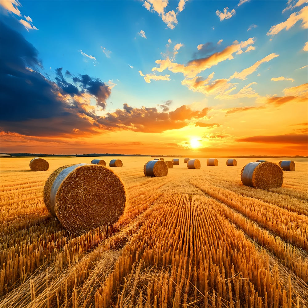 Fall Thanksgiving Backdrop Golden Hayfield Sunset Backdrop LXX57-338