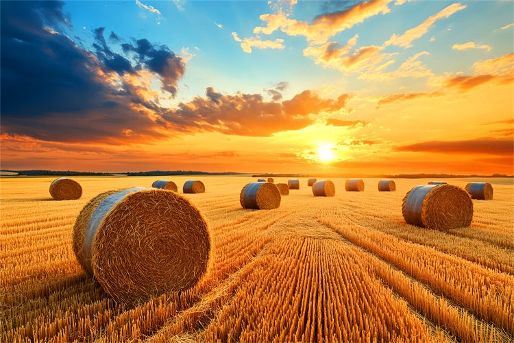 Fall Thanksgiving Backdrop Golden Hayfield Sunset Backdrop LXX57-338