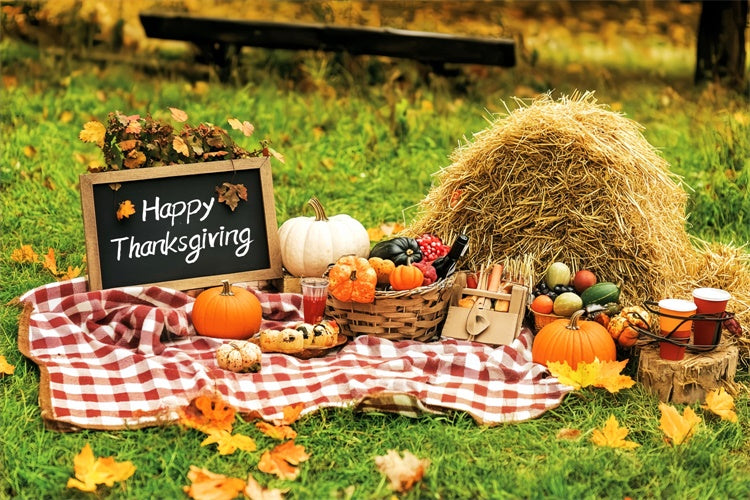 Thanksgiving Themed Backdrop Happy Picnic Meadow Backdrop LXX57-345