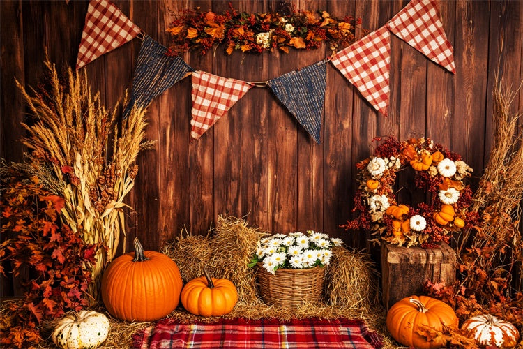 Thanksgiving Photo Backdrop Plaid Banner Harvest Backdrop LXX57-352