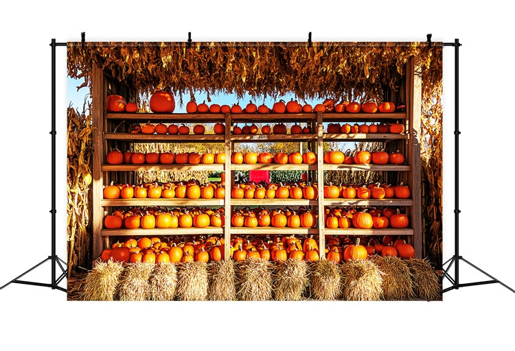 Photography Thanksgiving Backdrop Pumpkin Shed Market Backdrop LXX57-354