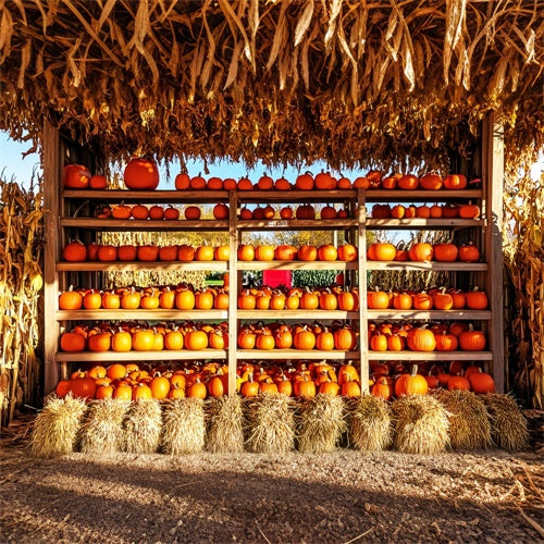 Photography Thanksgiving Backdrop Pumpkin Shed Market Backdrop LXX57-354