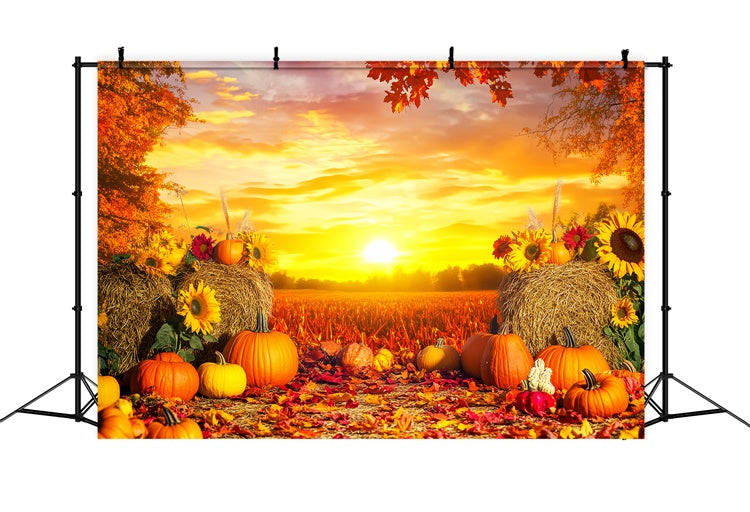 Thanksgiving Backdrop Harvest Field Golden Sunset Backdrop LXX57-360