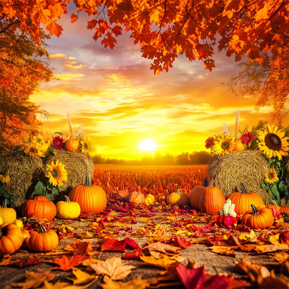 Thanksgiving Backdrop Harvest Field Golden Sunset Backdrop LXX57-360