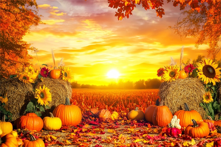 Thanksgiving Backdrop Harvest Field Golden Sunset Backdrop LXX57-360