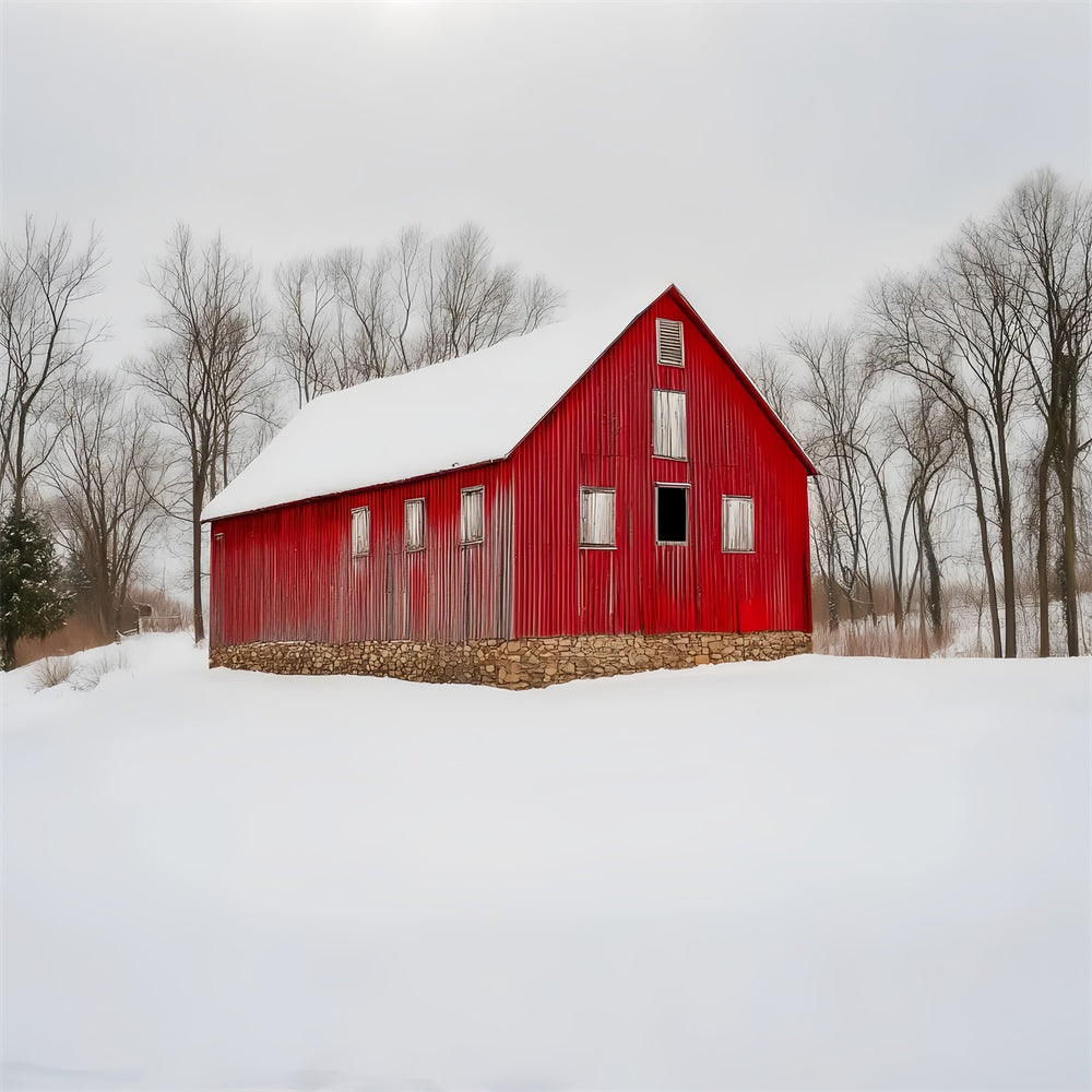 Red Barn Backdrop Rustic Snowfield Barn Backdrop LXX57-381