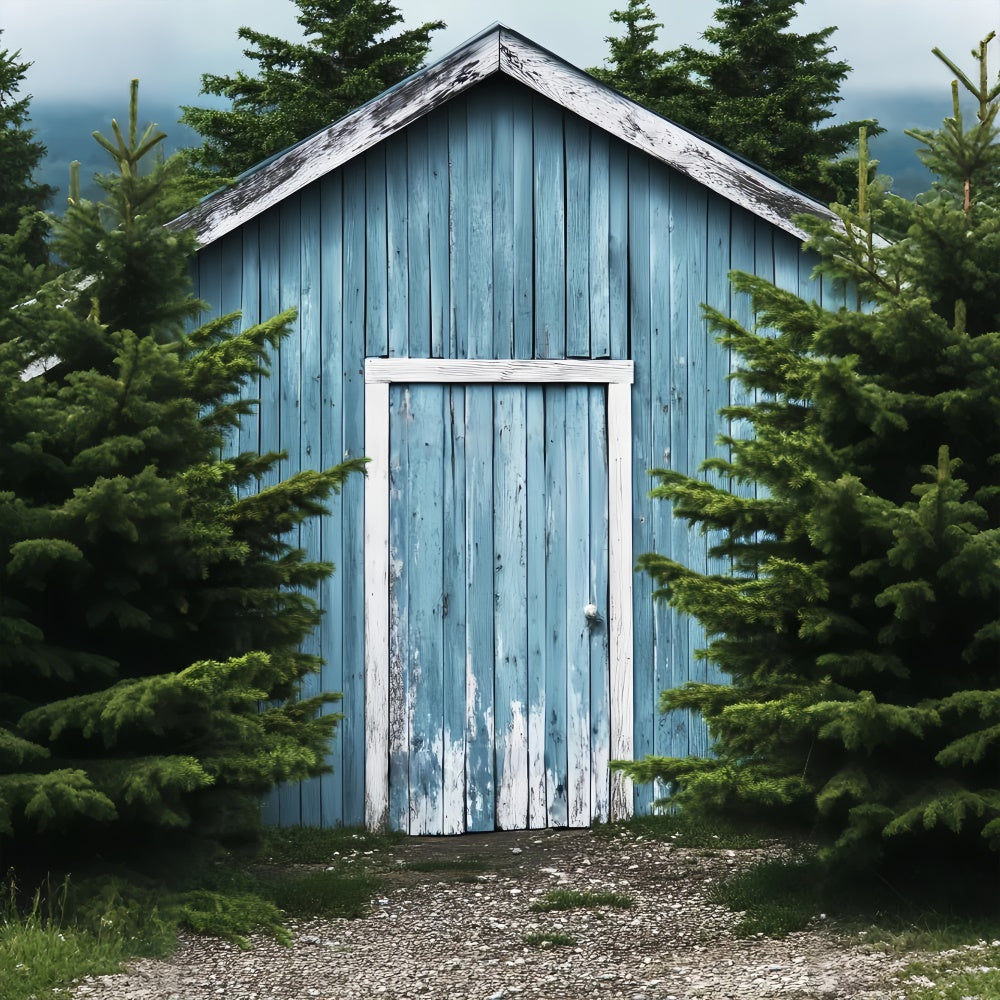 Barn Photo Backdrop Woodland Blue Barn Backdrop LXX57-395
