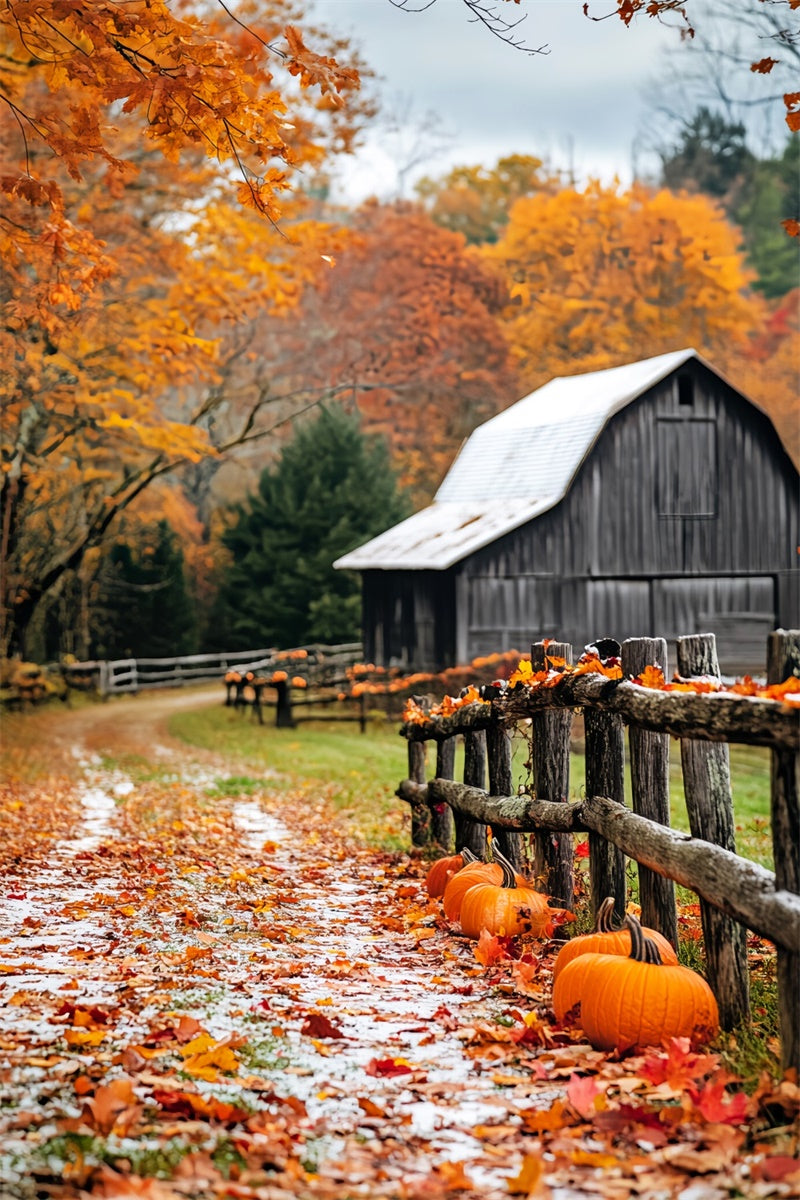 Rustic Barn Backdrop Pumpkin Path Autumn Backdrop LXX57-398