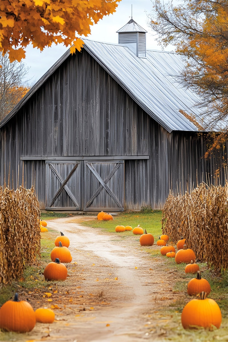 Barn Backdrop Rustic Harvest Trail Fall Backdrop LXX57-399