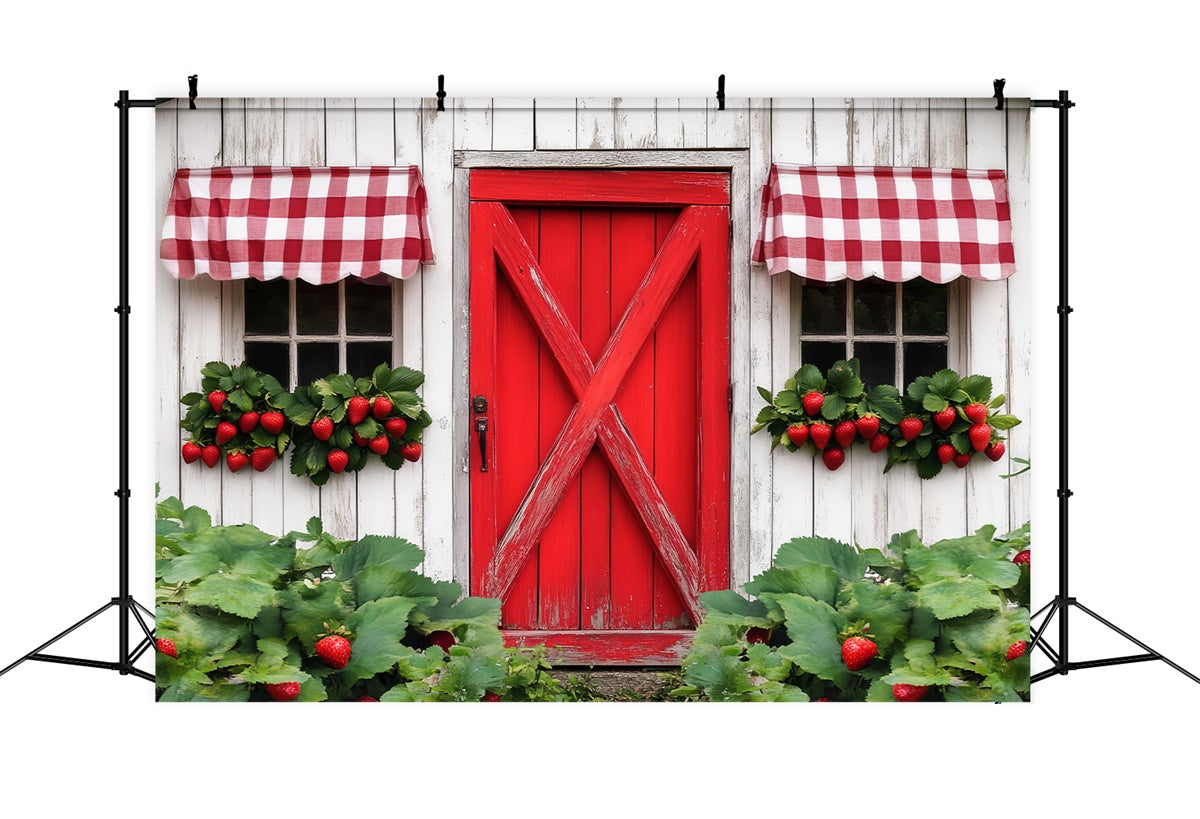 Rustic Barn Backdrop Country Berry Window Backdrop LXX57-408