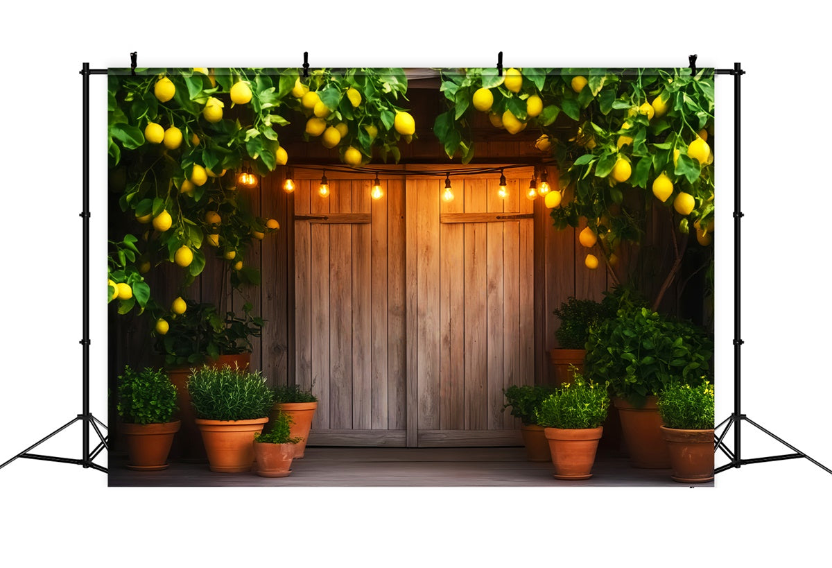Barn Door Photo Backdrop Lemon Tree Porch Backdrop LXX57-413