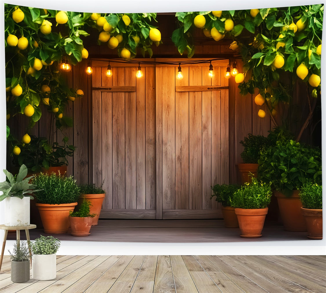 Barn Door Photo Backdrop Lemon Tree Porch Backdrop LXX57-413