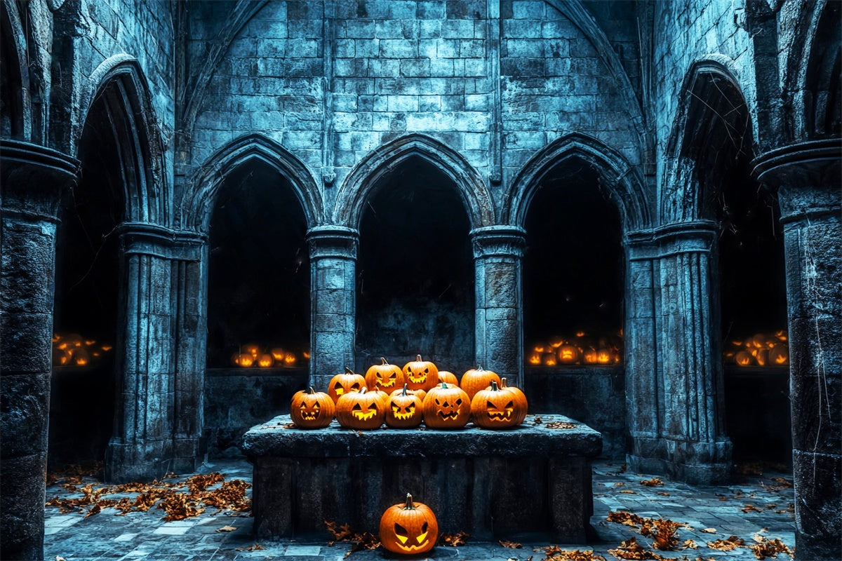 Halloween Photo Backdrop Haunted Stone Vault Backdrop LXX58-11