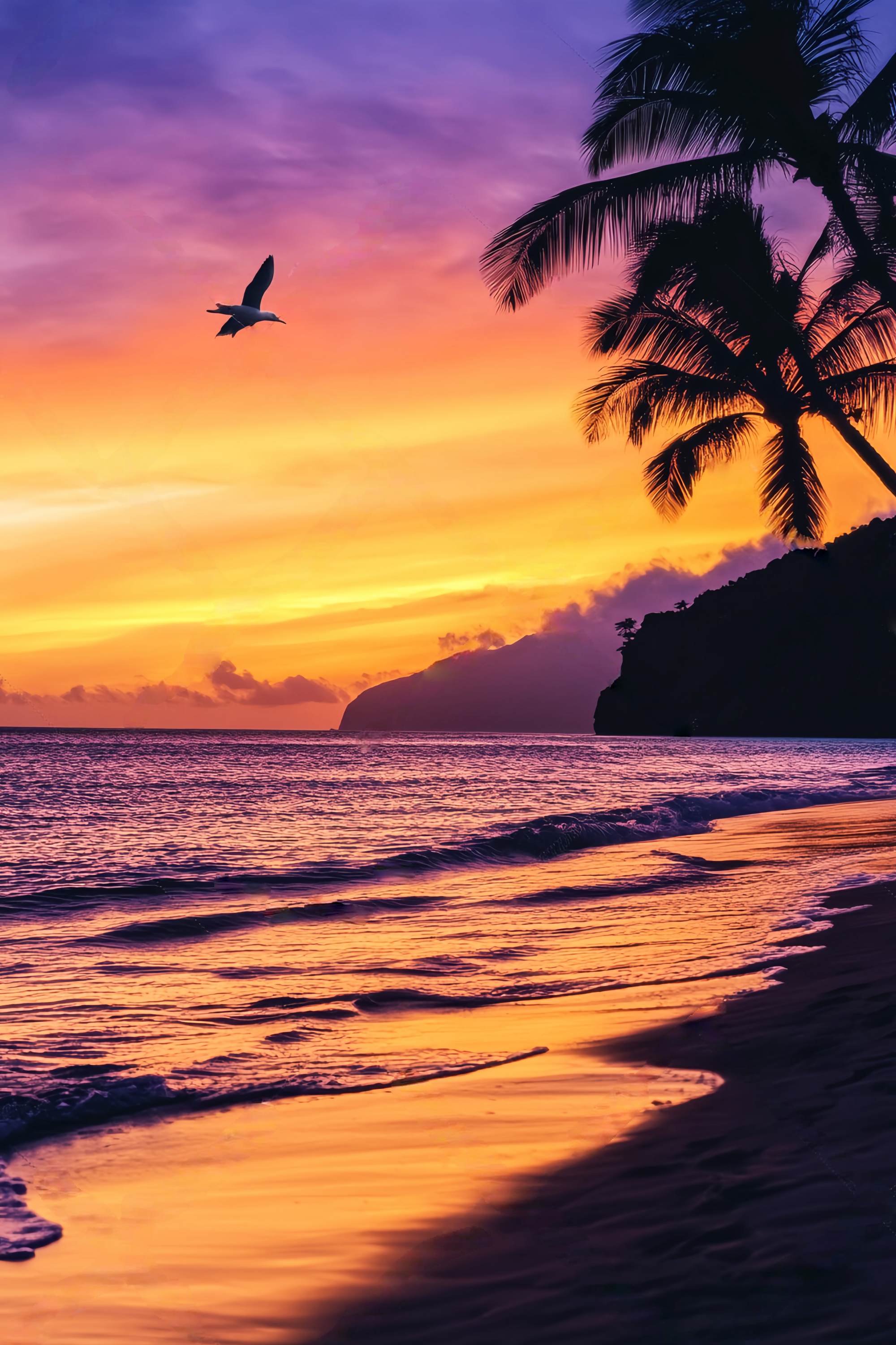 Fall Backdrop Tropical Sunset Palm Silhouette Sunset Backdrop LXX58-163