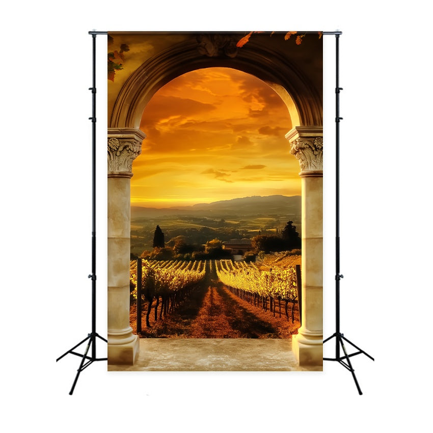 Fall Backdrop Golden Vineyard Archway View Vintage Backdrop LXX58-174