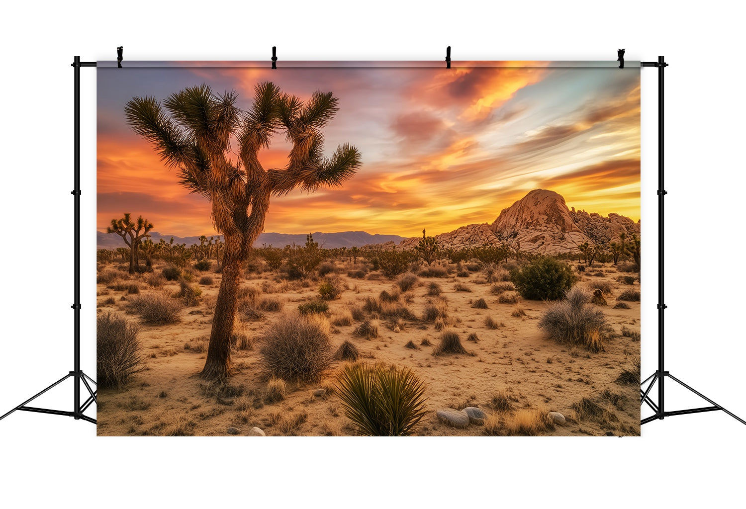 Autumn Fall Backdrop Desert Sunset Joshua Tree Glow Sunset Backdrop LXX58-183
