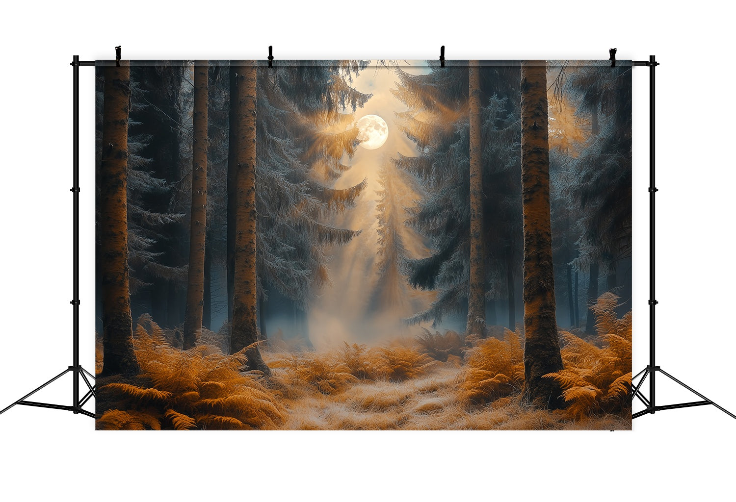Autumn Backdrop Enchanted Moonlit Autumn Forest Forest Backdrop LXX58-185