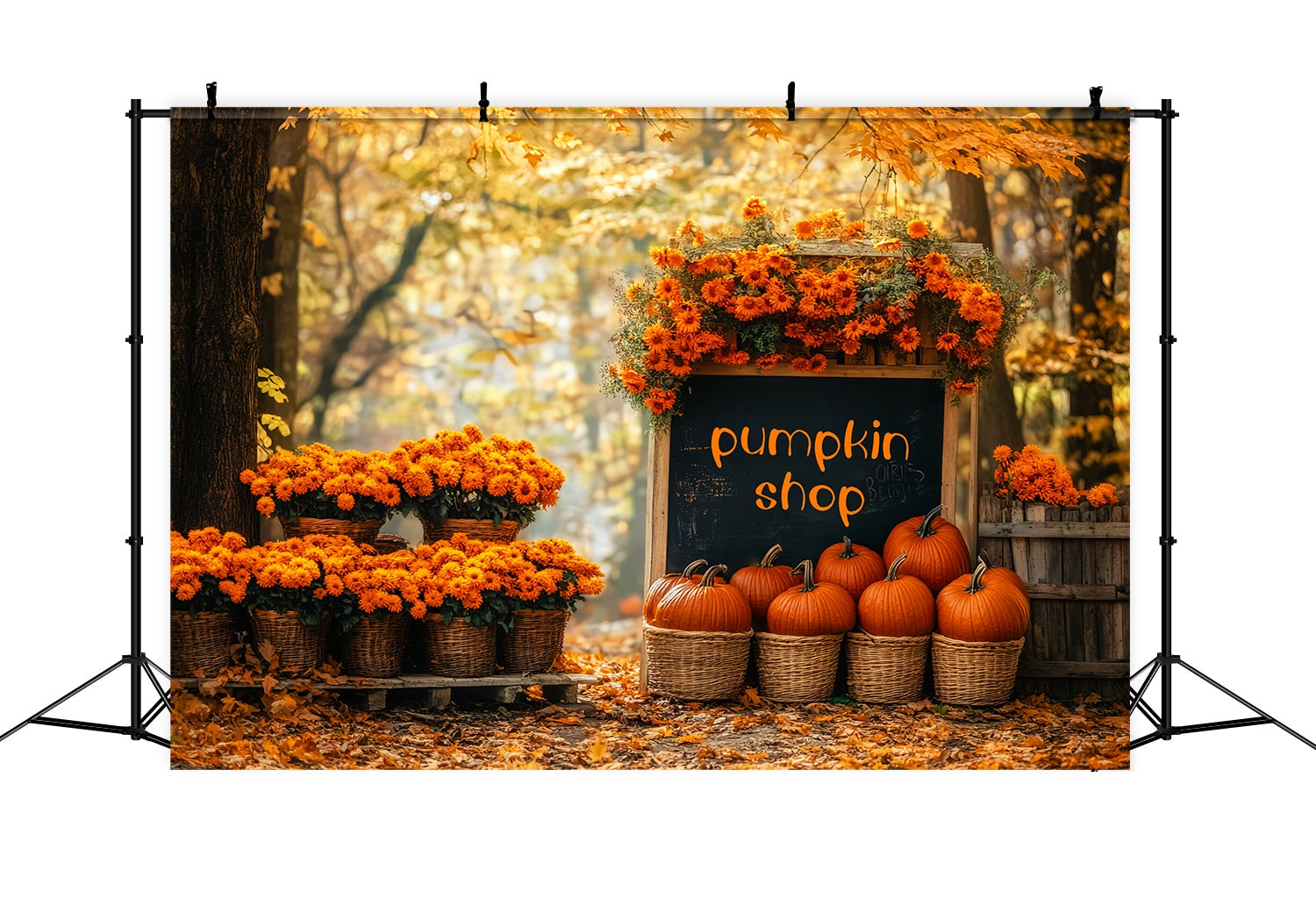 Autumn Backdrops Pumpkin Shop Autumn Flower Market Pumpkin Backdrop LXX58-215